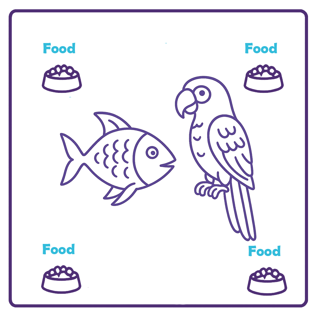 Fish and Birds
