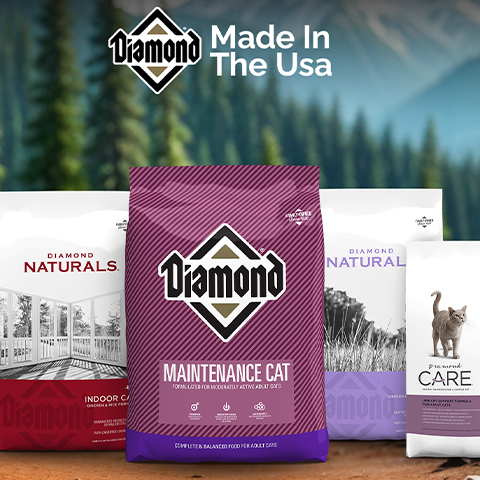 Cats Kitten Food Cats Supplies