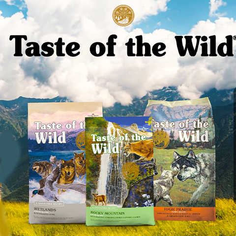 Dogs Puppies Food Dogs Supplies